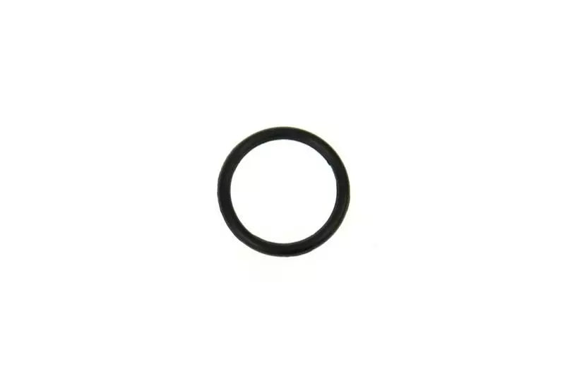 Piston Head Seal