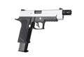 Replica Biohazard Sentinel Nine - Leon Model