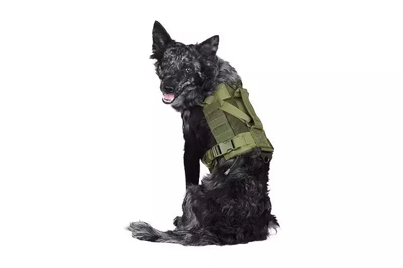 Tactical Dog Harness - Olive