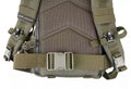 Wisport SilverFox military backpack - olive