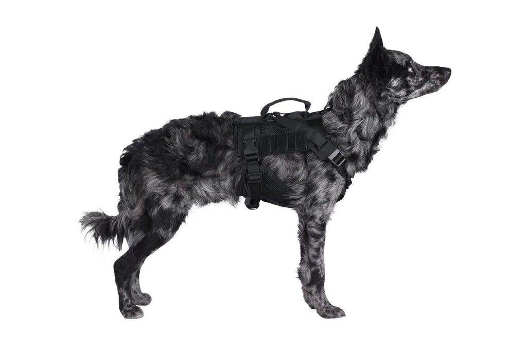 Tactical Dog Harness - Black
