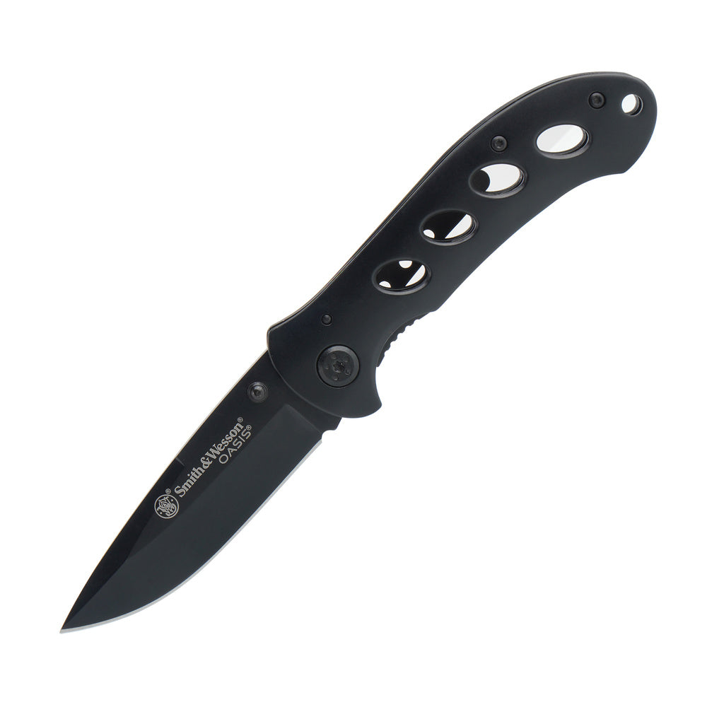 Smith & Wesson - Oasis Titanium Finish - SW423B
