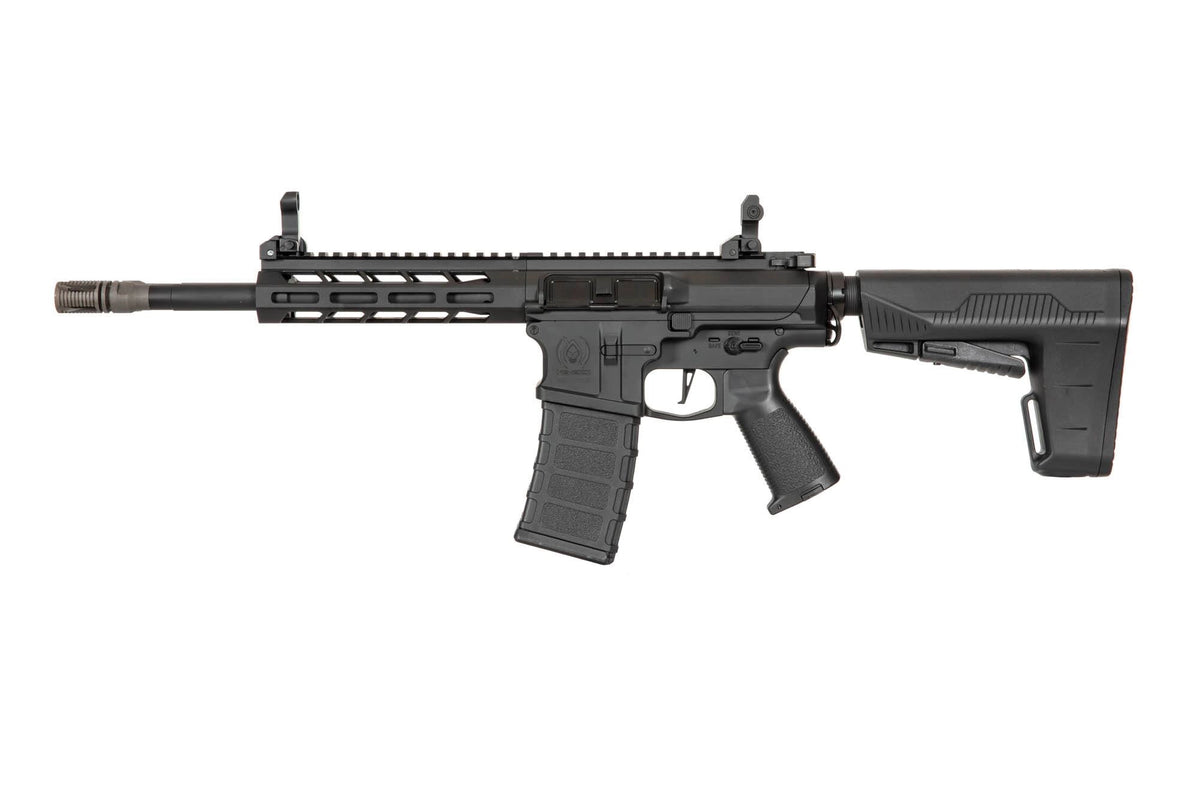 DT-4 Double Barrel AR Carbine Replica