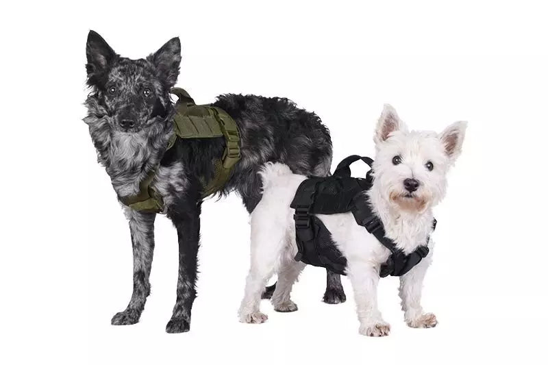 Tactical Dog Harness - Olive Drab