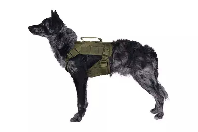 Tactical Dog Harness - Olive