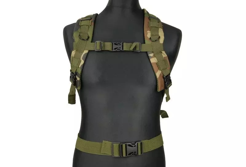 Assault Pack type backpack - woodland