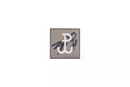 IR patch - Fighting Poland 300 - CT